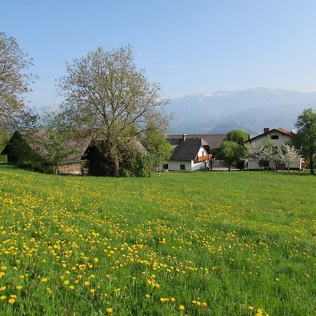 Ferienhof Breitenbaumer Spital Am Pyhrn Exteriér fotografie